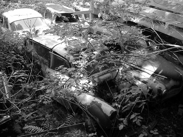 Autofriedhof - 017.JPG - Historischer Autofriedhof,    Gürbetal (CH)